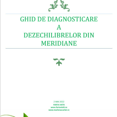 Ghid de diagnosticare a dezechilibrelor din meridiane