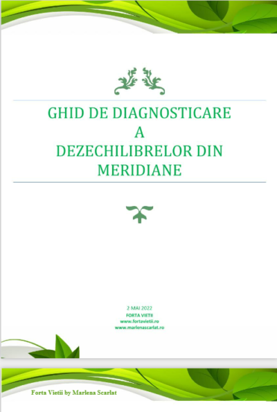 Ghid de diagnosticare a dezechilibrelor din meridiane